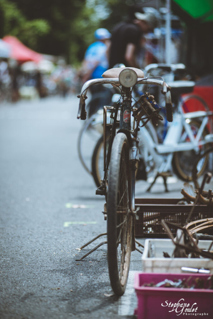 Anjou Vélo Vintage, Saumur, 2015